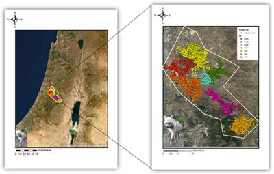 Sex Differences Dictate the Movement Patterns of Striped Hyenas, Hyaena hyaena, in a Human-Dominated Landscape